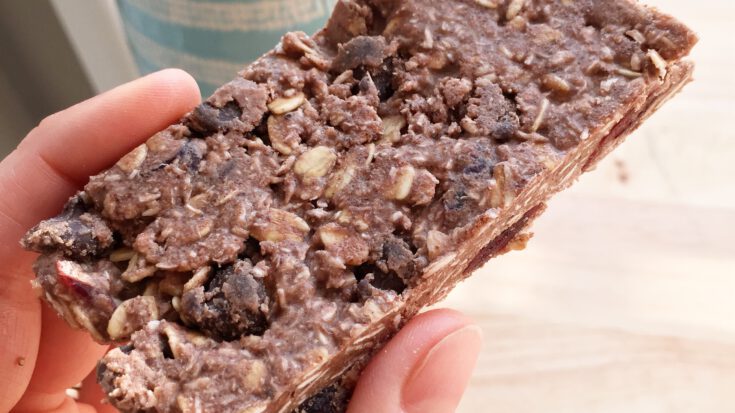 chocolate protein bars